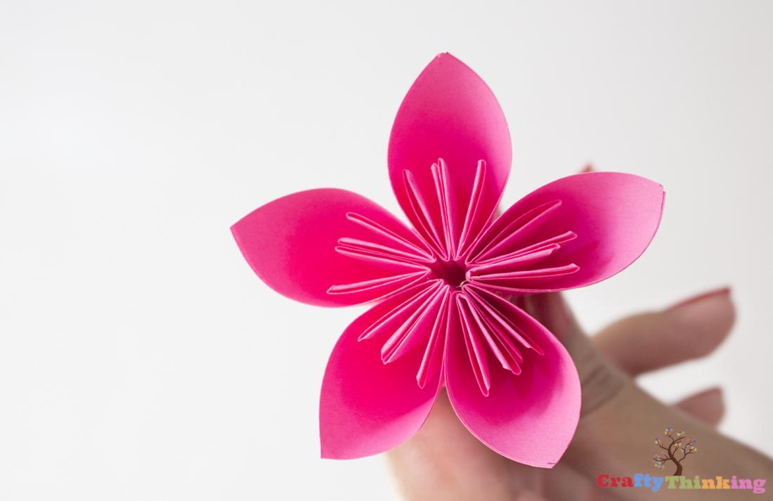 Kusudama Paper Flowers