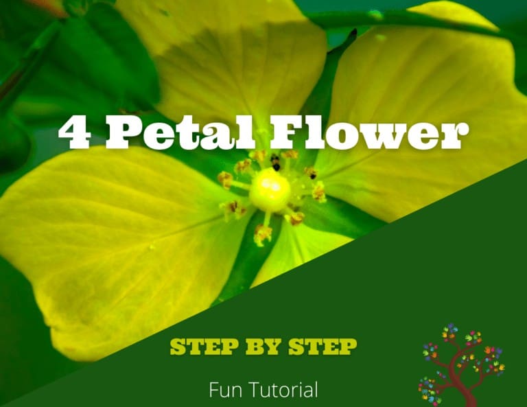 Creative 4 Petal Flower (Paper Crafts)