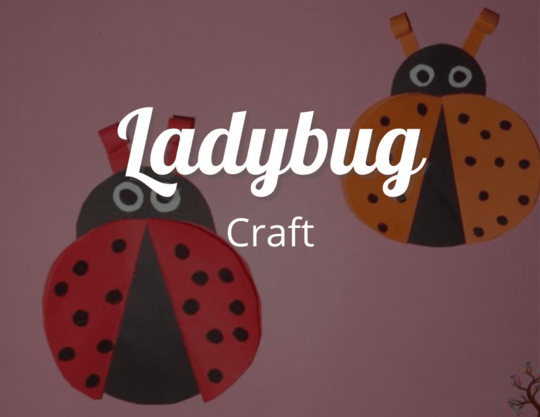 How to make an Easy Ladybug Craft