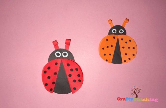 Ladybug Craft