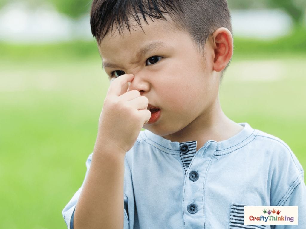 Olfactory Sensory Activities for Preschoolers Sense of Smell Fun Ideas (1)