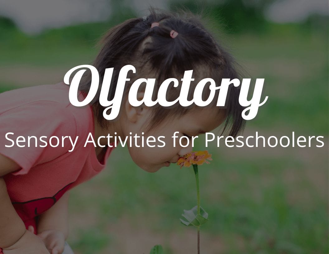 Olfactory Sensory Activities for Preschoolers Sense of Smell Fun Ideas
