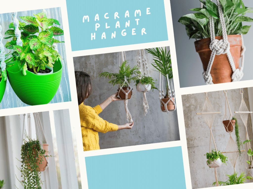 12. DIY Macrame Plant Hanger