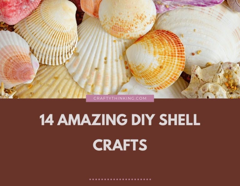 14 Amazing DIY Shell Crafts