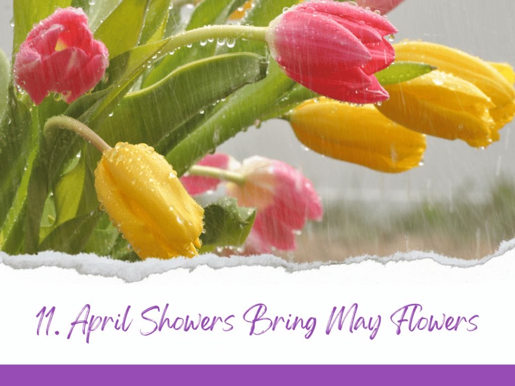 April Showers Bring May Flowers