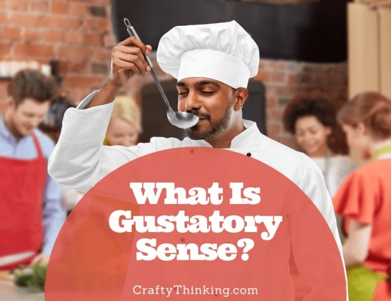 What Is Gustatory Sense? (Activities For Kids)
