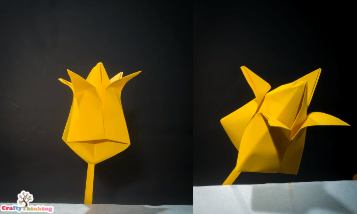 Origami Tulip