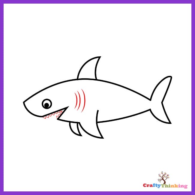 How to draw a Great White Shark step by step – Easy Animals 2 Draw