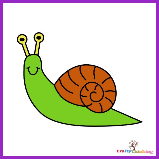 Garden snail shell illustration, drawing, engraving, ink, line art, vector  Stock Vector | Adobe Stock