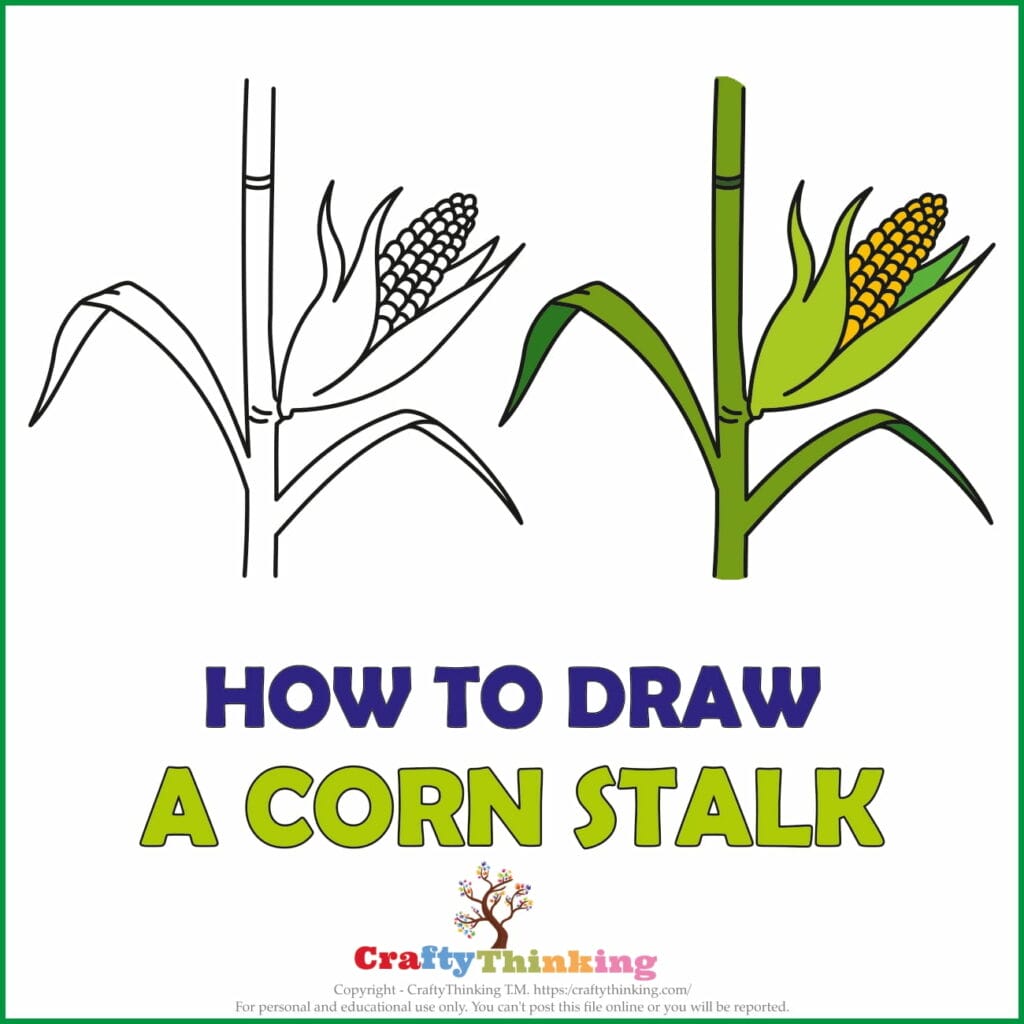 How to draw-A corn drawing step by step