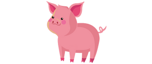 pig