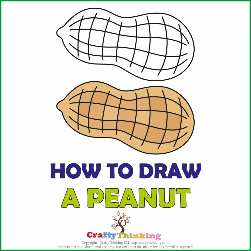 How to Draw a Peanut Step by Step