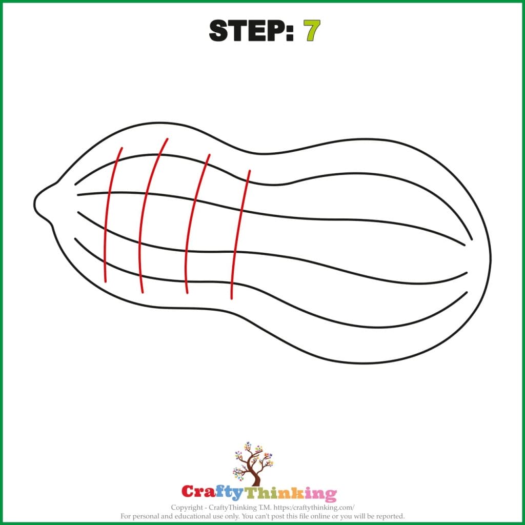 How to Draw a Peanut Step by Step