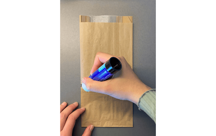 Mouse Paper Bag Puppet