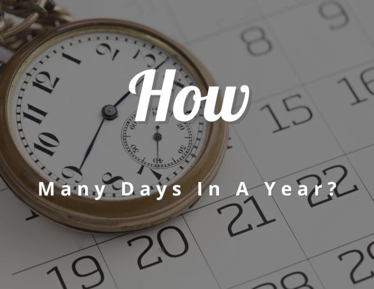 Fun Facts About How Many Day in A Year
