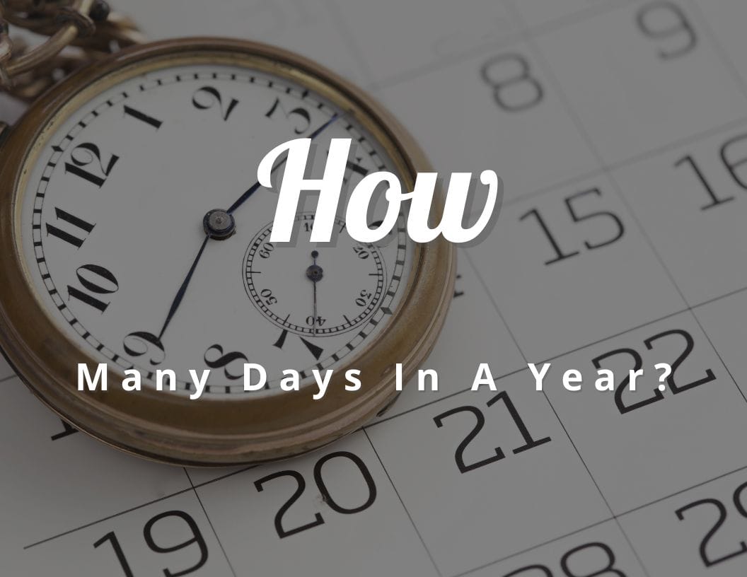 Fun Facts About How Many Day in A Year CraftyThinking