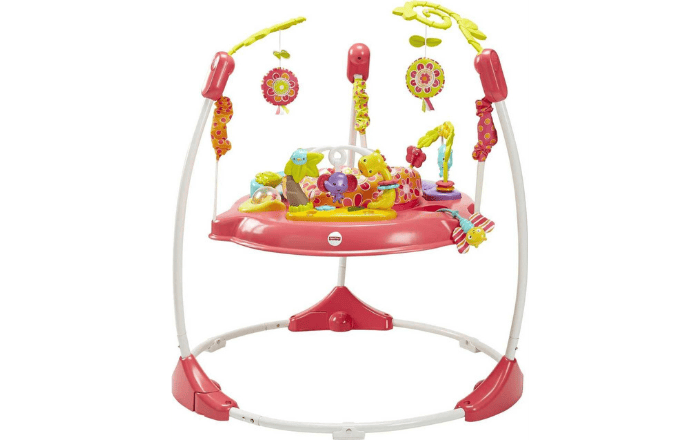 Fisher-Price Jumperoo: Pink Petals