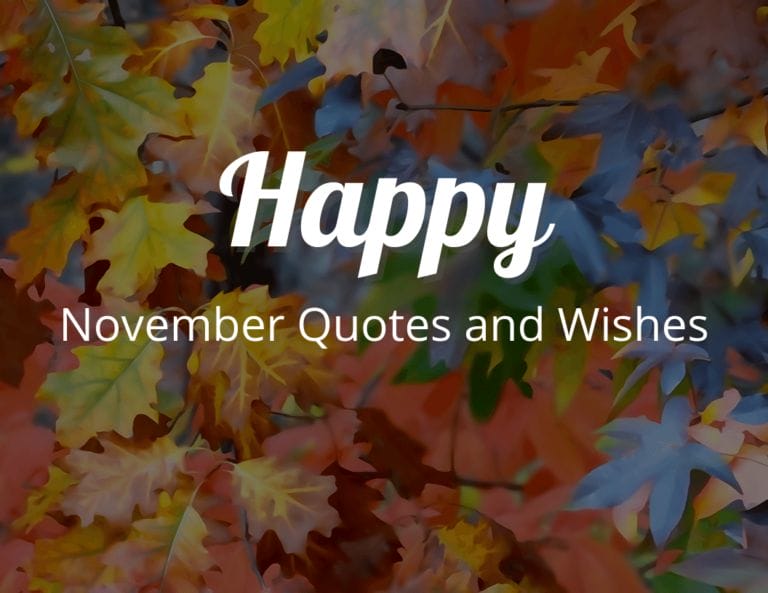 Wishing You a Happy November Quotes to Usher in the New Month