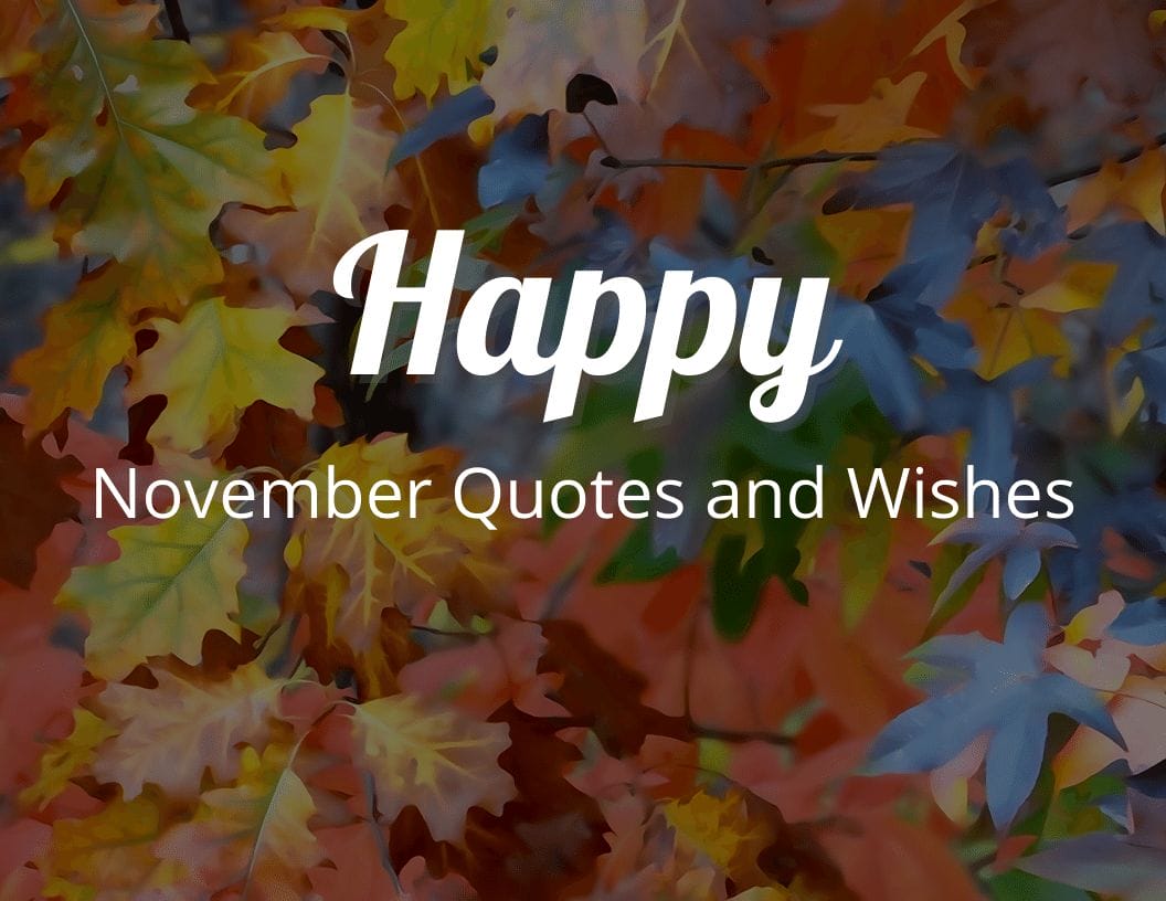 Happy November Quotes