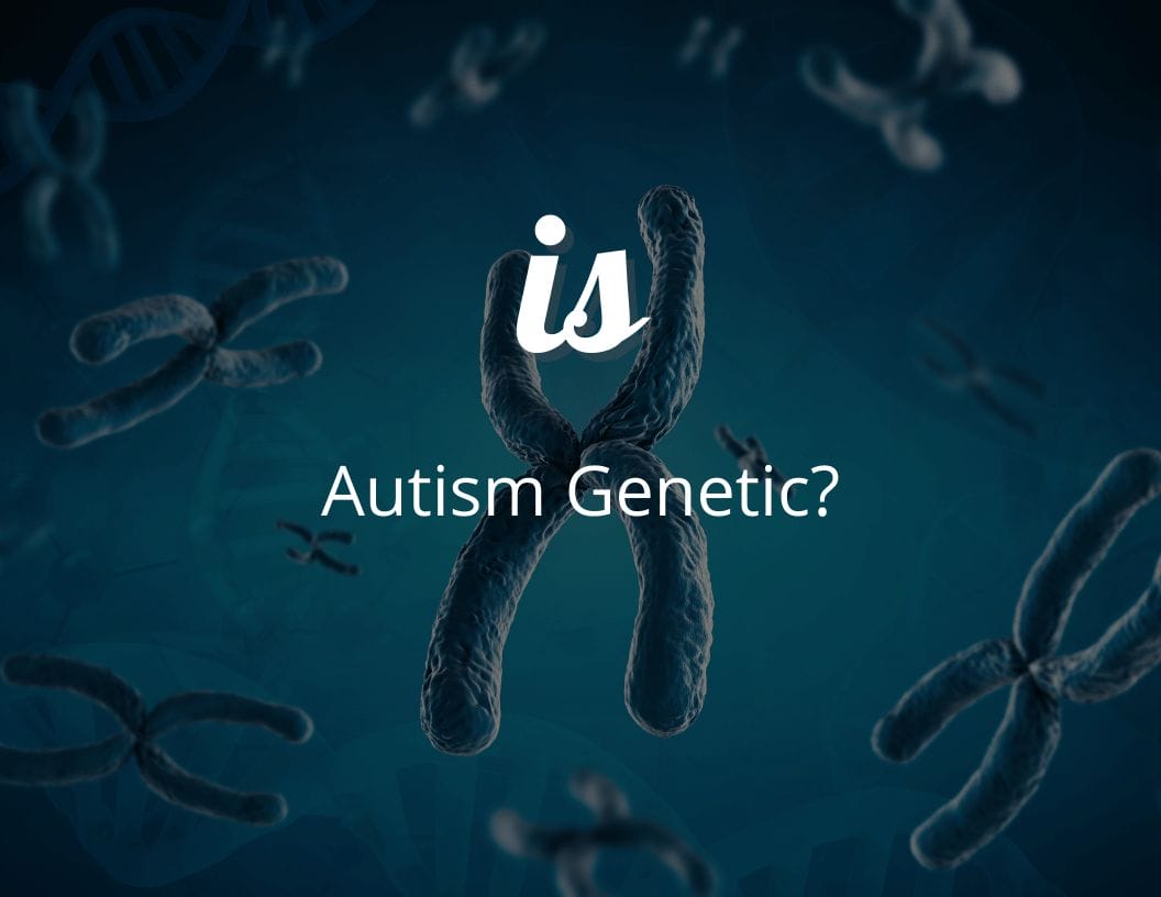 Is Autism Genetic The 15 High Risks For Autism Spectrum Disorder   Is Autism Genetic 1 