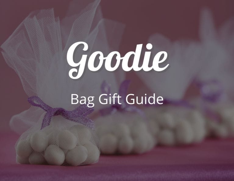 Best DIY Goodie Bag Gift Guide! 25 Party Favor Bag Ideas