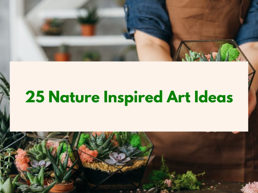 What is Nature Drawing Art Projects