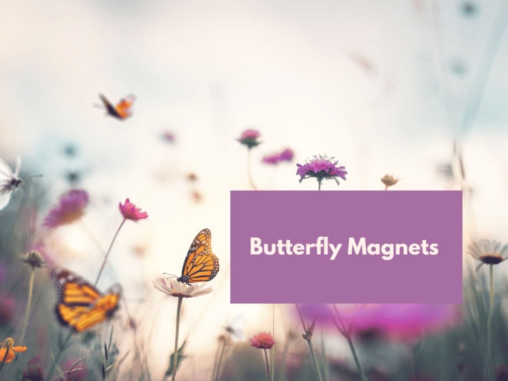 Butterfly Magnets