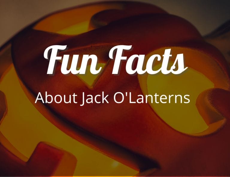 12 Amazing Fun Facts About Jack O Lanterns That Will Light Up Your Halloween!