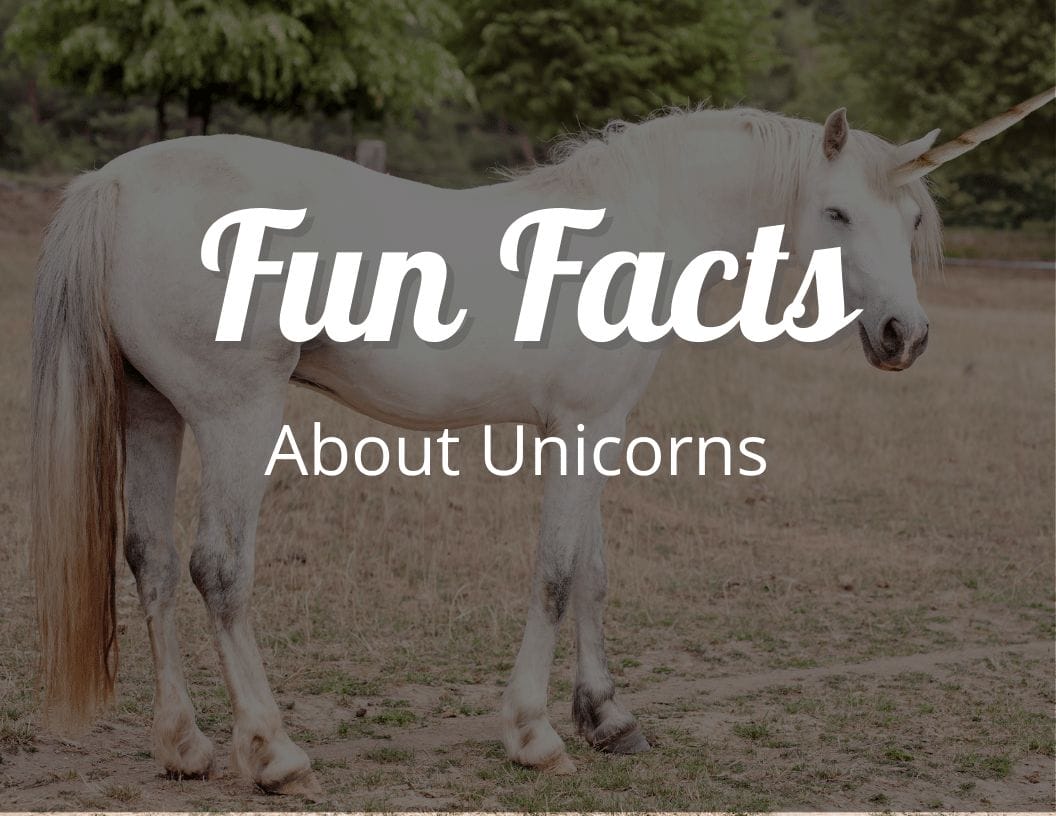 12 Enchanting Fun Facts About Unicorns That Will Sparkle Your ...