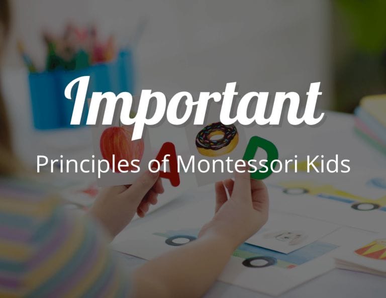 Important Principles of Montessori Kids: Try Montessori Education
