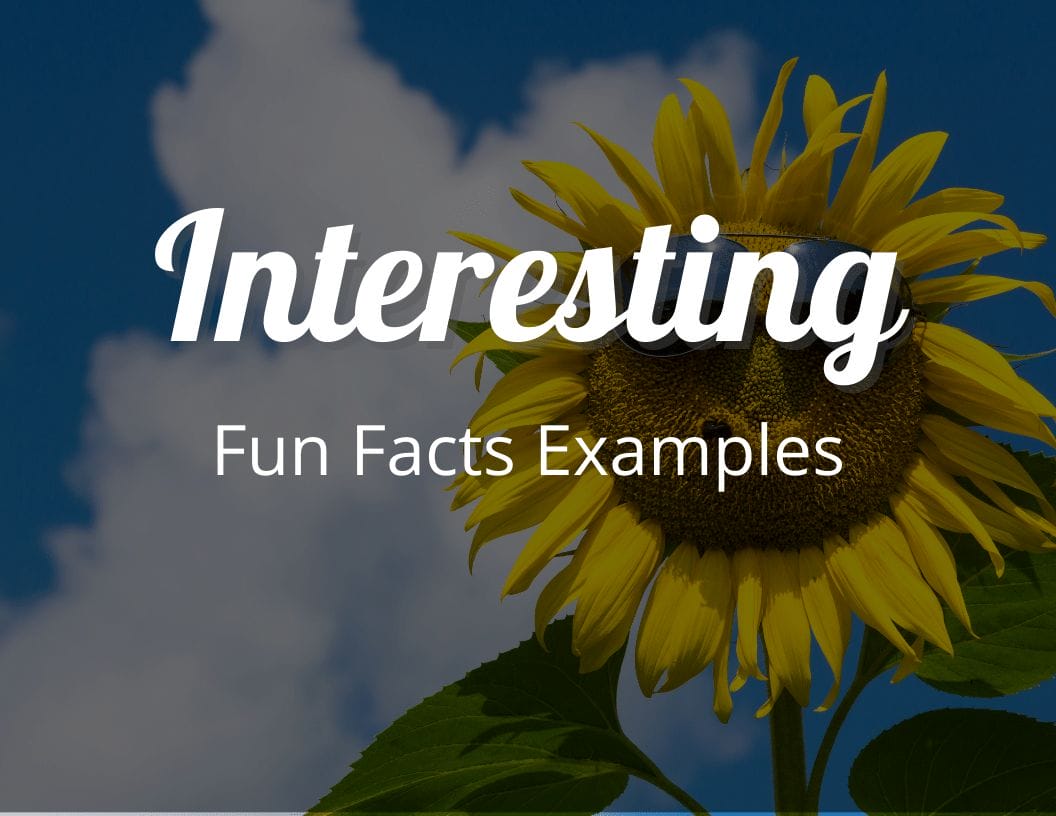 Interesting Fun Facts Examples