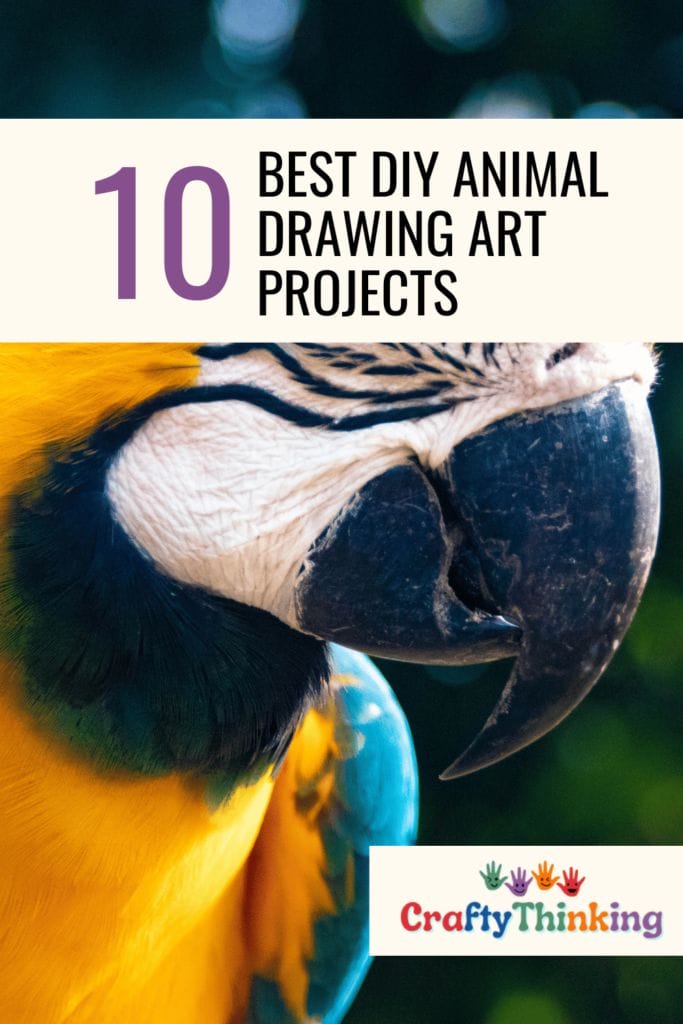 Best DIY Animal Drawing Art Projects