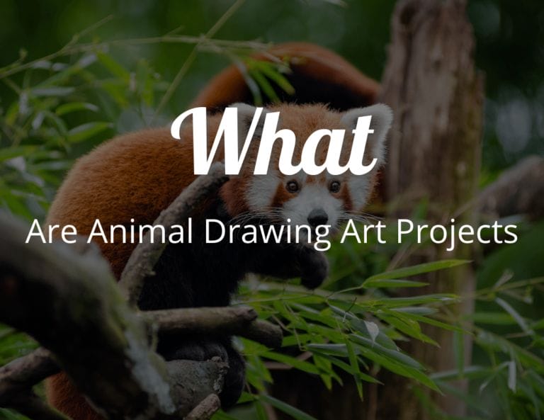 What Are Animal Drawing Art Projects? Learn How to Draw Animals