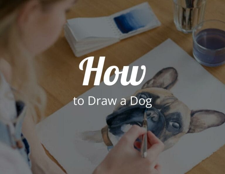 How To Draw a Dog Step by Step Drawing Beginner Tutorial