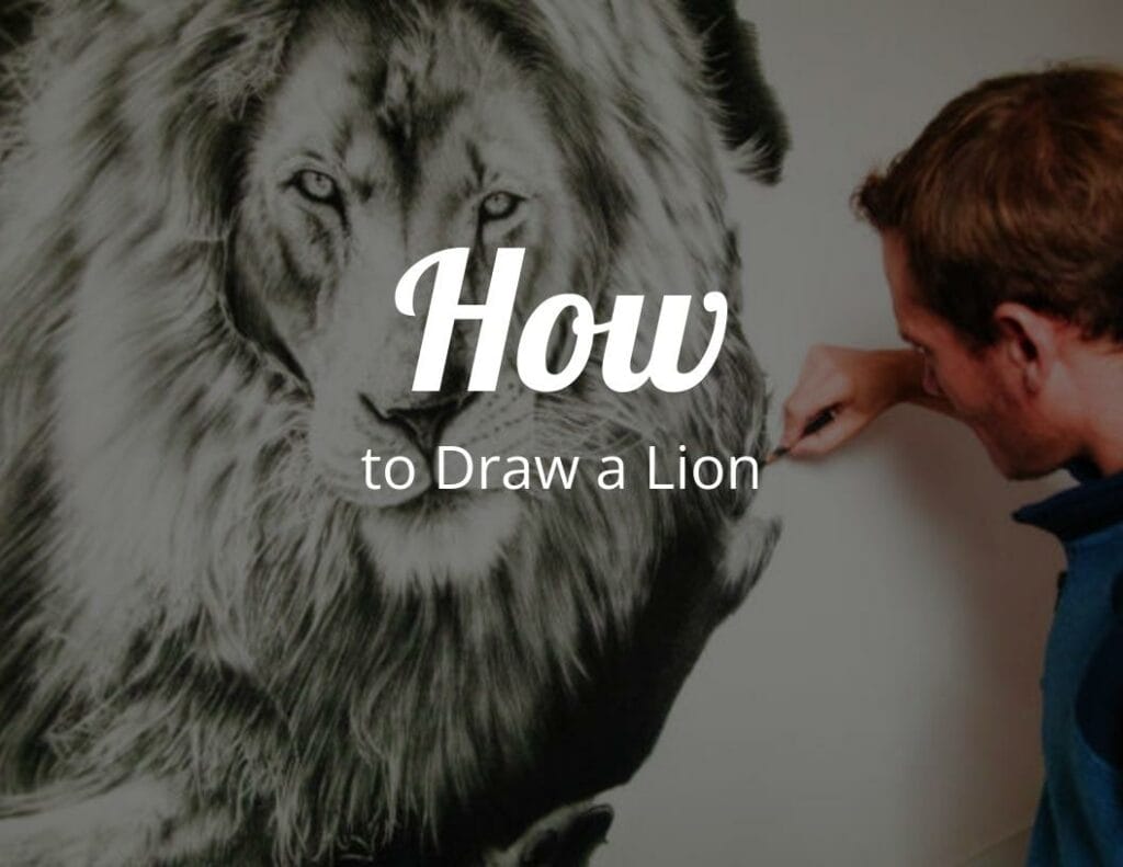 How to Draw a Cartoon Lion | Lion drawing, Lion drawing simple, Cartoon lion