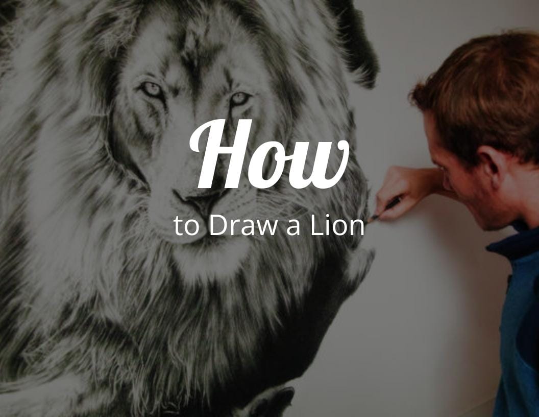 How to Draw a Lion • Expressive Monkey