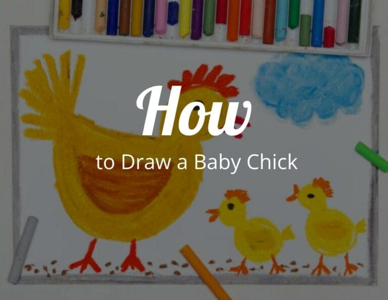 How to Draw a Baby Chick Step by Step (Drawing Guide)