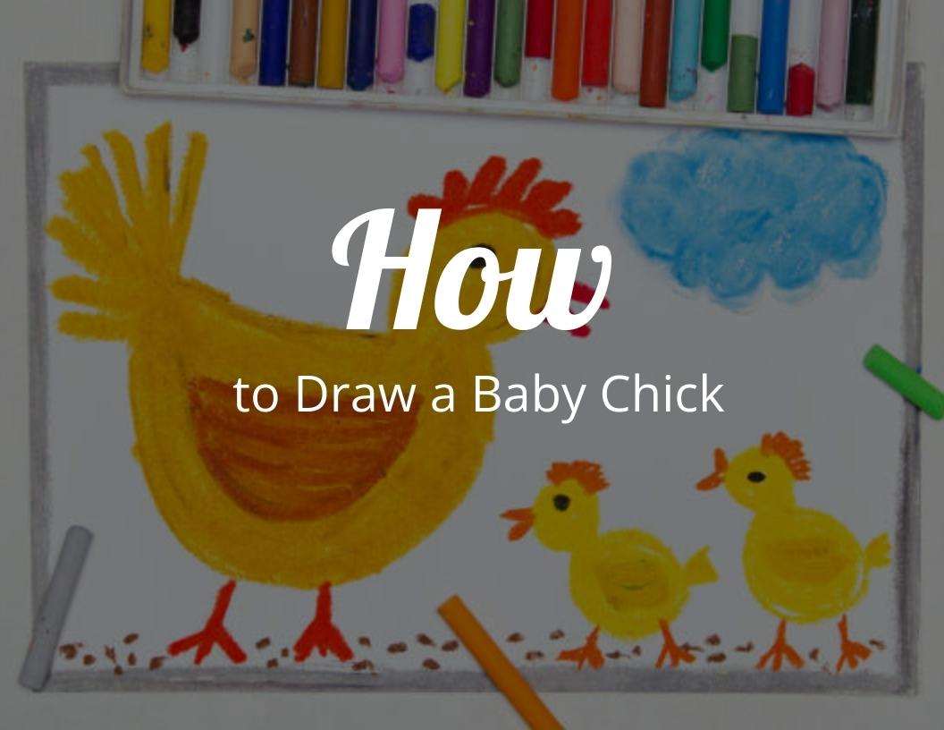 How to Draw a Baby Chick