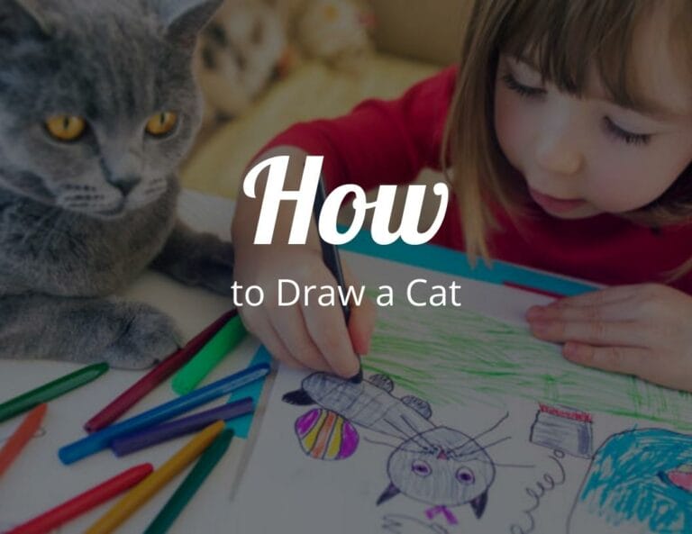 How to Draw a Cat Step-by-Step Tutorial