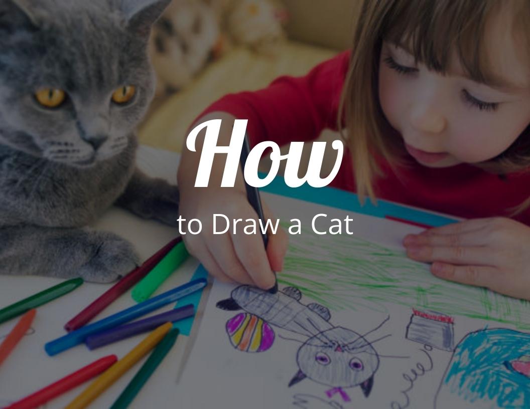 How to Draw a Cat