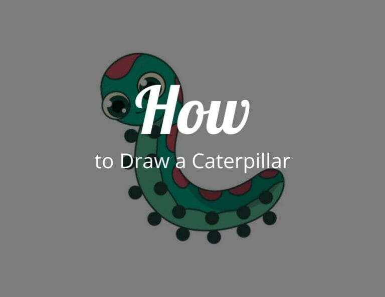 How to Draw a Caterpillar Step by Step Drawing Tutorial