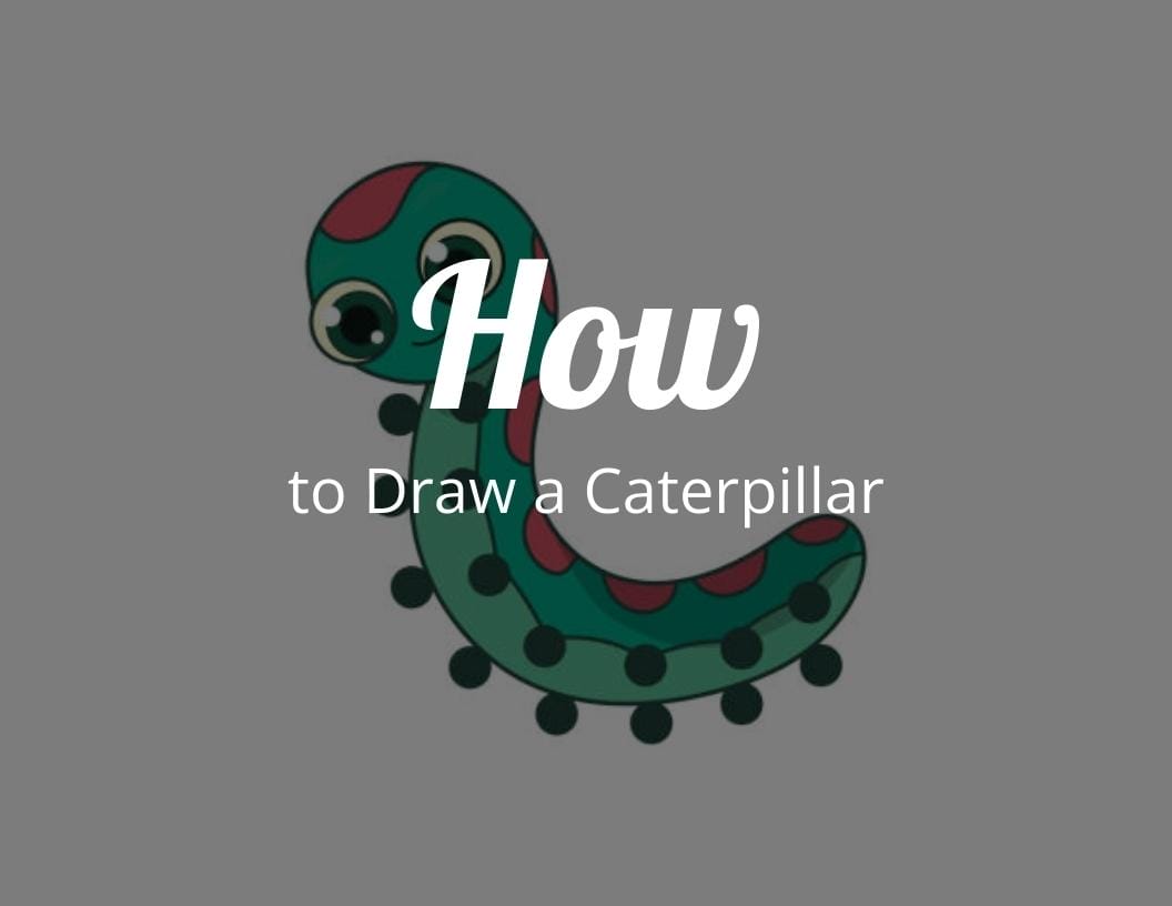Cartoon Caterpillar Drawing - How To Draw A Cartoon Caterpillar Step By  Step!