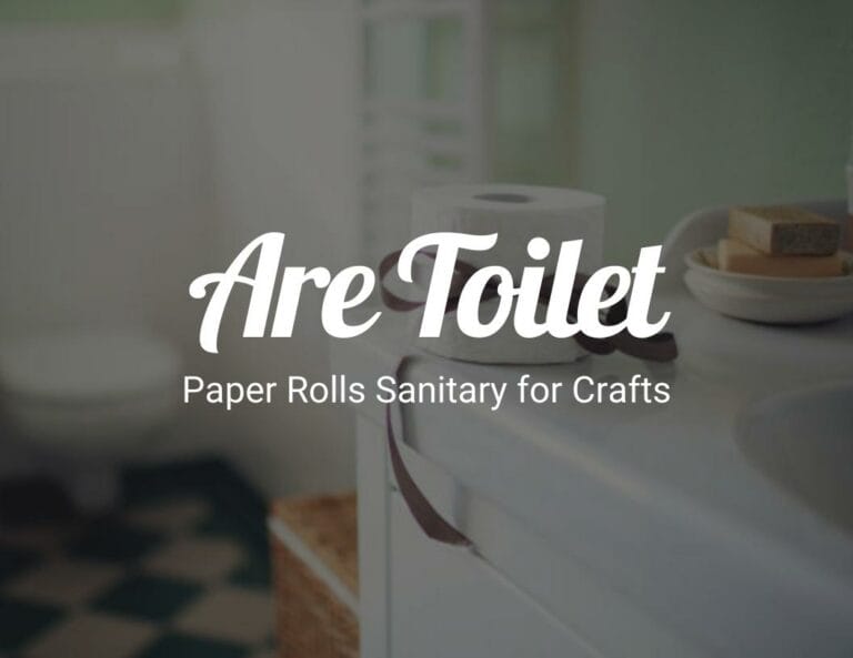 Are Toilet Paper Rolls Sanitary for Crafts?