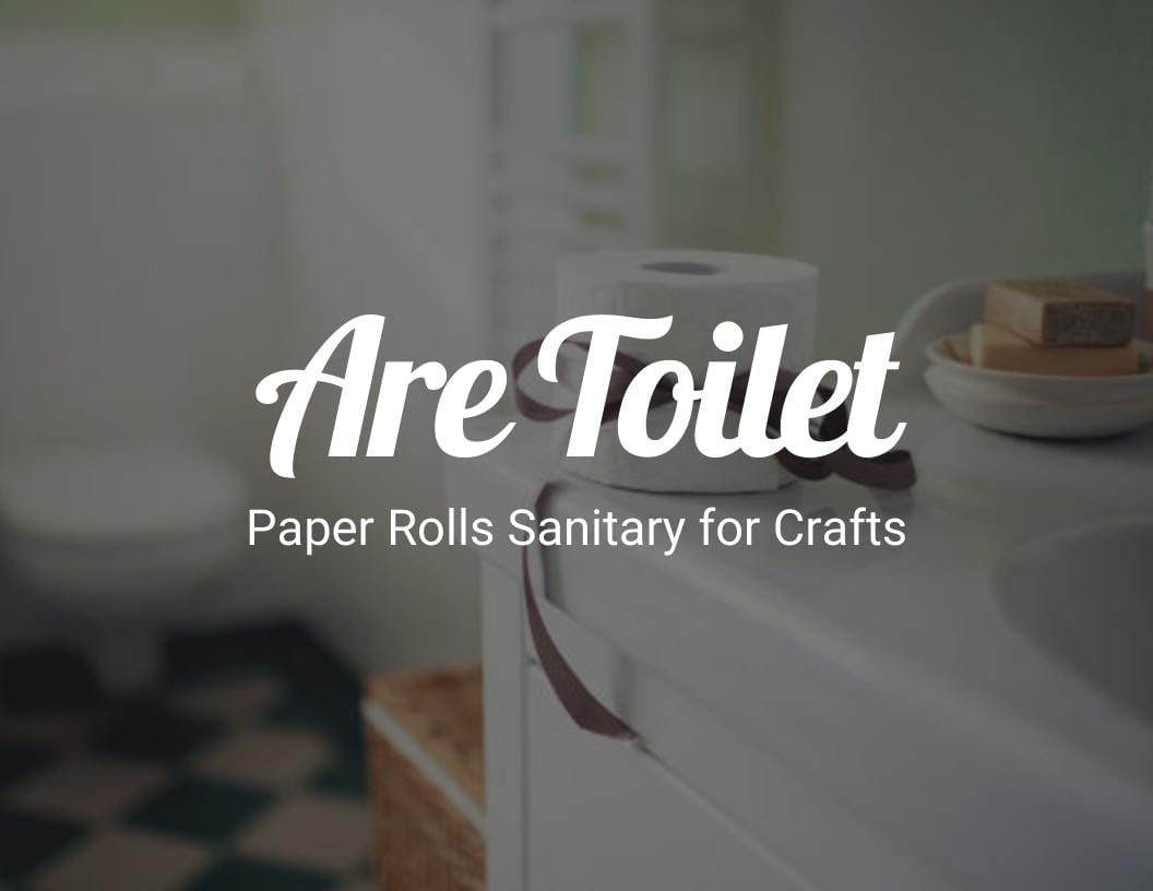 Are Toilet Paper Rolls Sanitary for Crafts