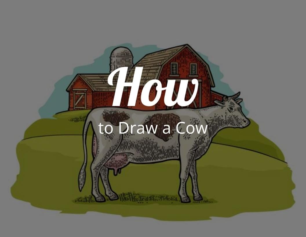 Cow Head Profile, Pencil Drawing, Cattle, Farm Animal