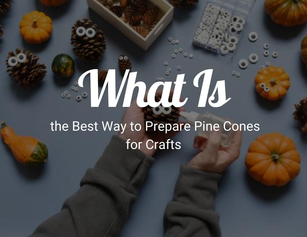 what is the best way to prepare pine cones for crafts