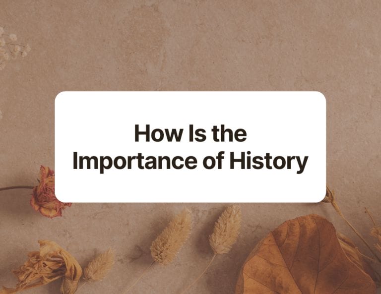 how is the importance of history