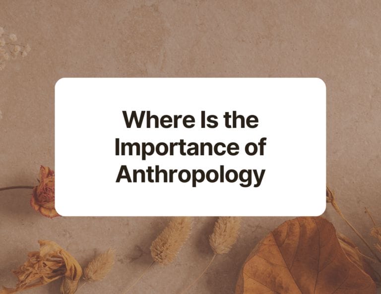 where is the importance of anthropology