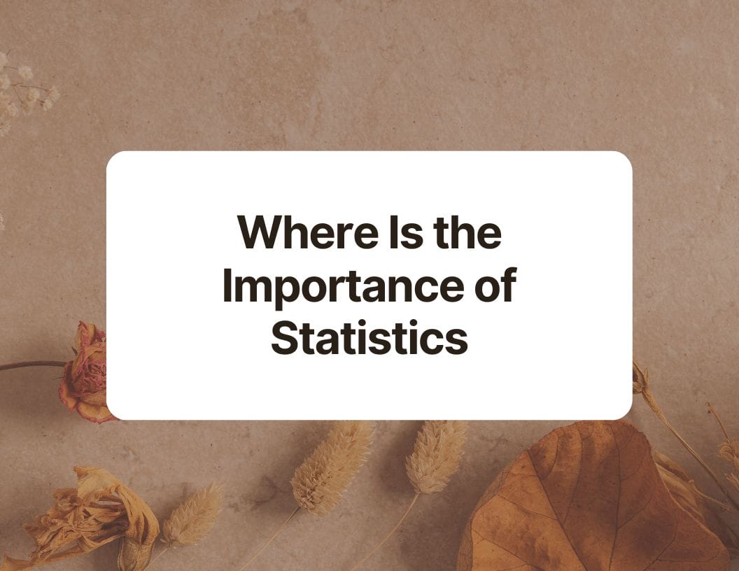 Where Is the Importance of Statistics