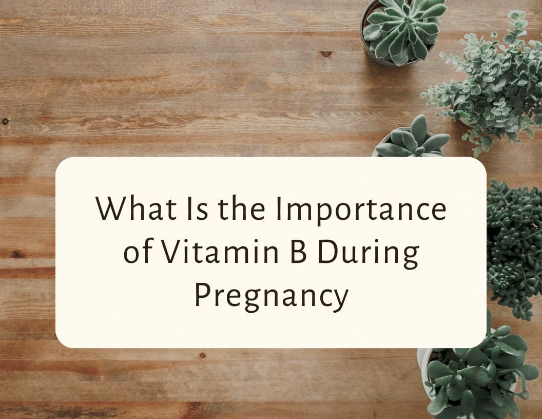 What Is The Importance Of Vitamin B During Pregnancy - CraftyThinking